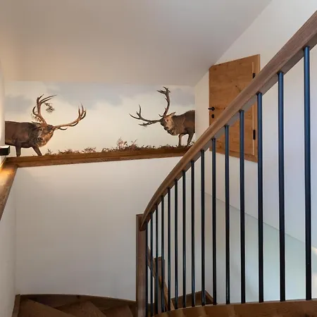 Montis Apartament Flachau