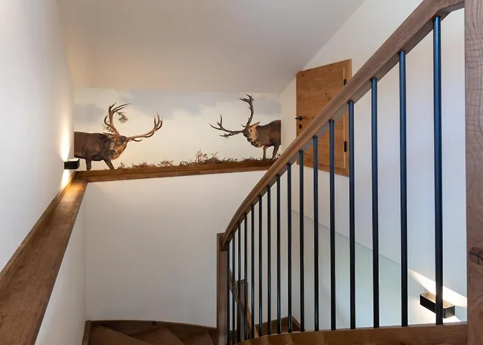 Montis アパート フラッハウ