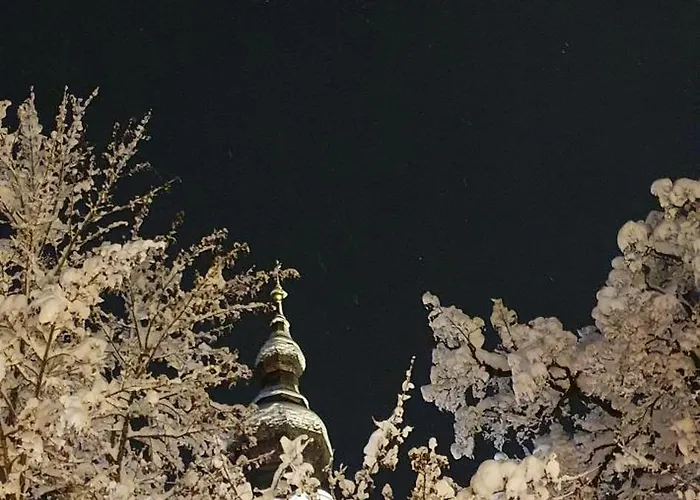 Montis フラッハウ